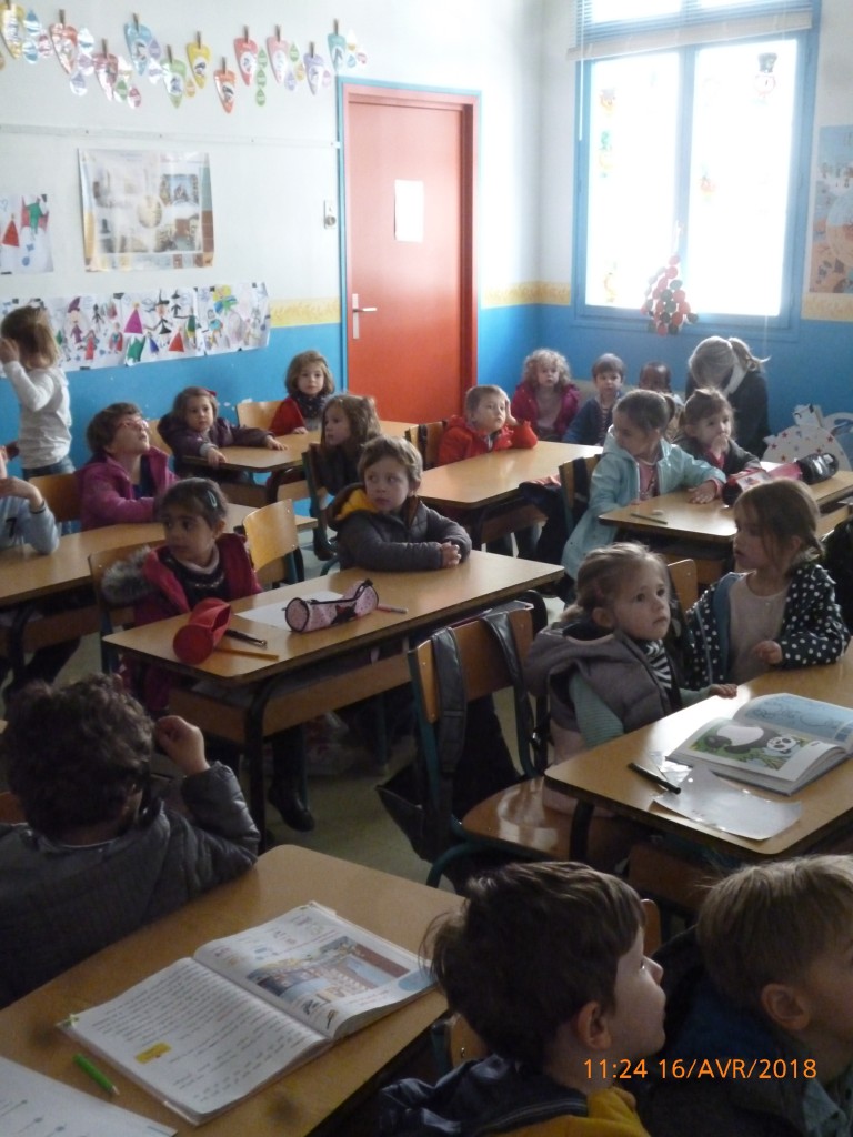Comment Appelle-t-on Le Bébé De L'hippopotame Explorer le monde du vivant | École de l'Assomption